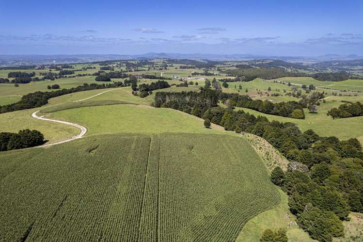 731 Puhipuhi Road Whakapara_4