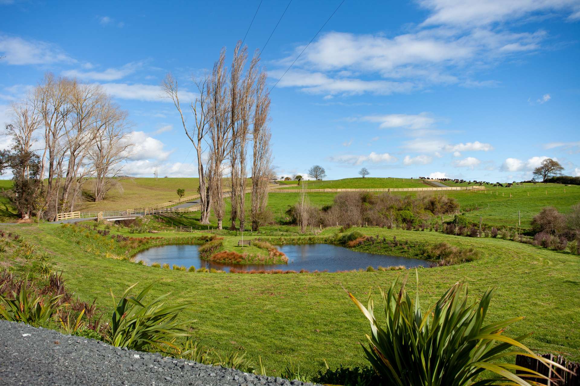 48 Country Lane Matamata_0