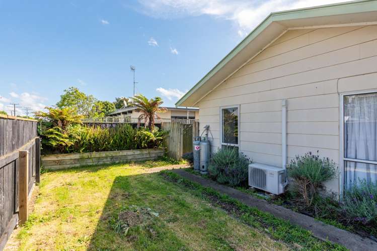 179 Tiro Tiro Road Levin_13