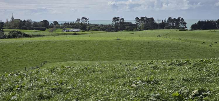 1028 Main North Road Onaero_25