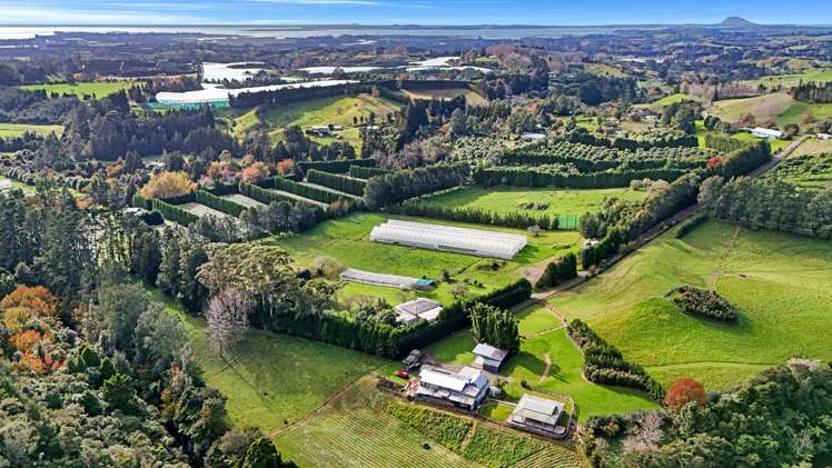 484C Wright Road Aongatete_1