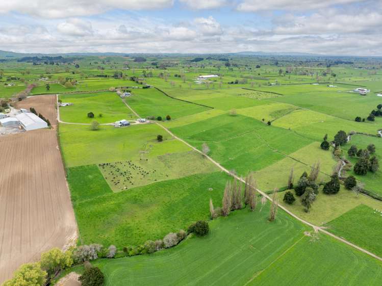 222 Gunn Road Matamata_3
