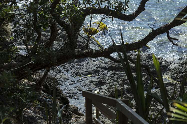 321 State Highway 10 Cable Bay_26