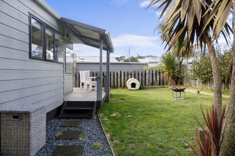 33 Tawa Street 11201_10