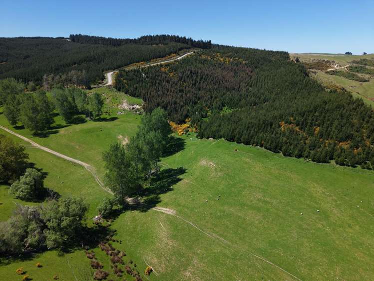 66 Otokia-Kuri Bush Road West Henley_24