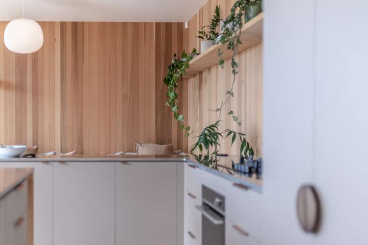 78m Greenslade Road Raglan_8