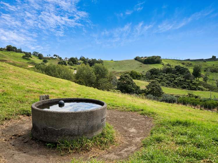 371 Esdaile Road Whakamarama_31