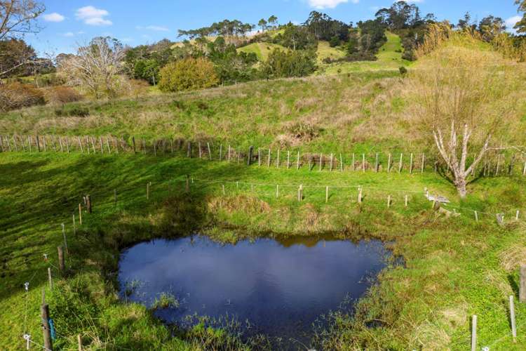 443 Pine Valley Road Dairy Flat_19