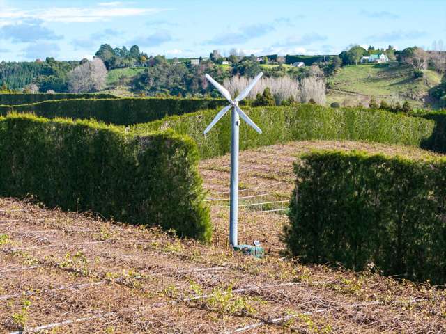 102A&B Huse Lane Rangiuru_2