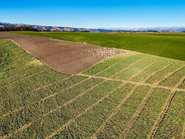 348 Koi Road Waikoikoi_2