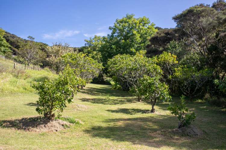 215 Kempthorne Road Russell_21