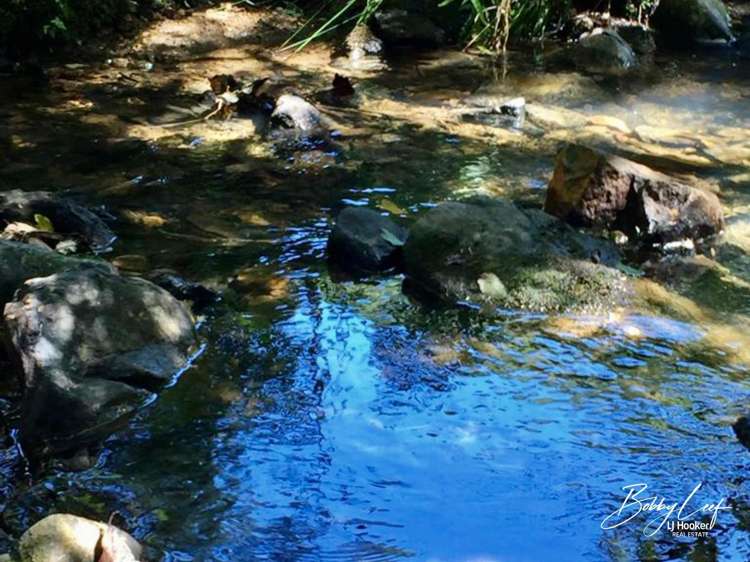 139 Warner Road Takahue_2