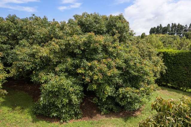 22 Ongare Point Road Katikati_1