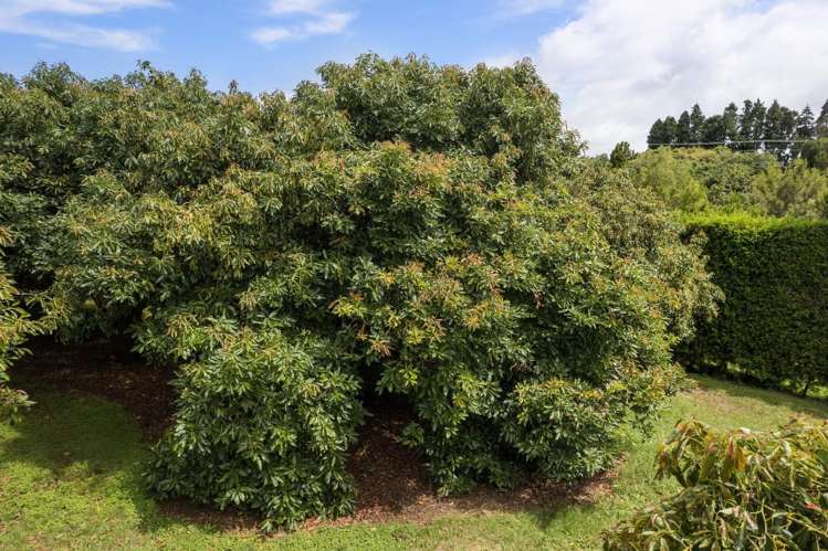 22 Ongare Point Road Katikati_1
