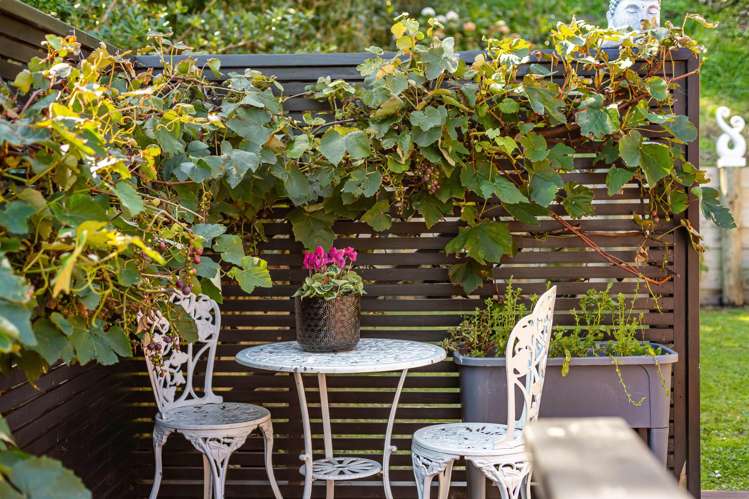 10B Mersey Street Island Bay_11