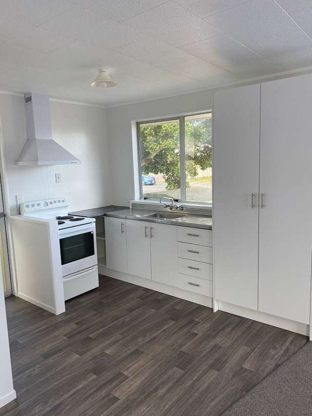 113E Featherston Street Palmerston North_3