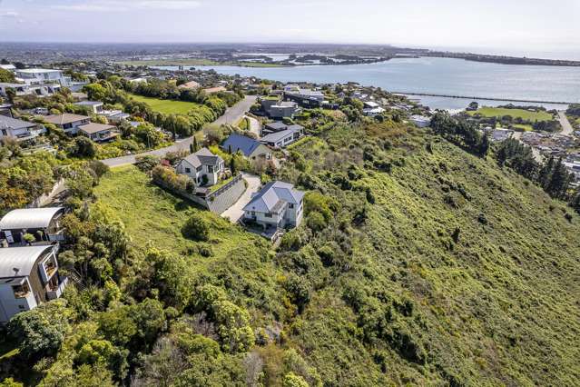 25 Drayton Drive Mount Pleasant_2