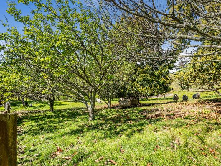 70 Nilgiri Road Poraiti_29