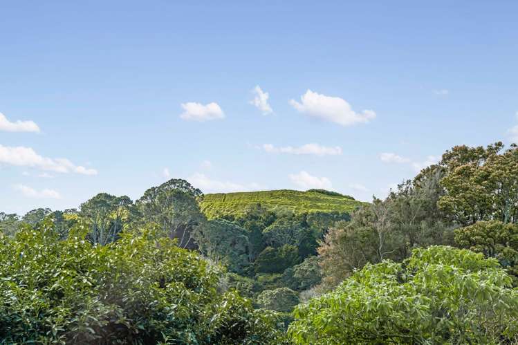 2A Poronui Street Mount Eden_34