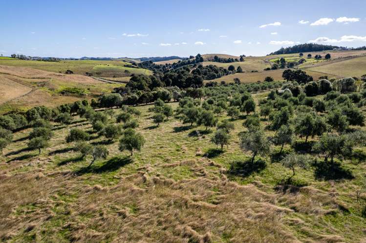 91 Keith Road and 587 Ormiston Road Ruakaka_17
