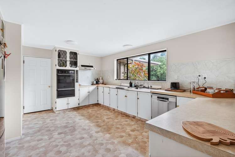 151A Palmer Mill Road Wairakei_5