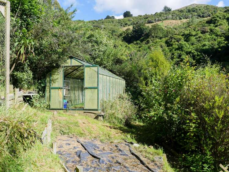 16 Henry Street Careys Bay_19