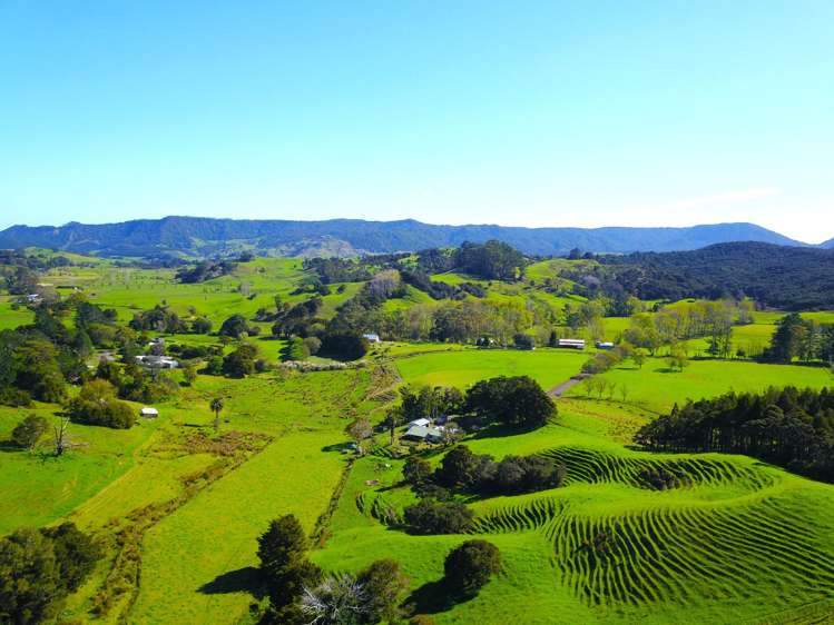 110 Diggers Valley Road Herekino_28