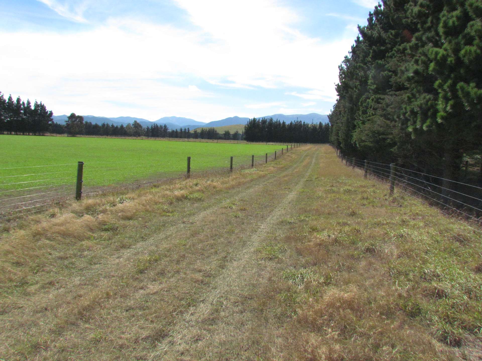 284 Waimakariri Gorge Road Oxford_0