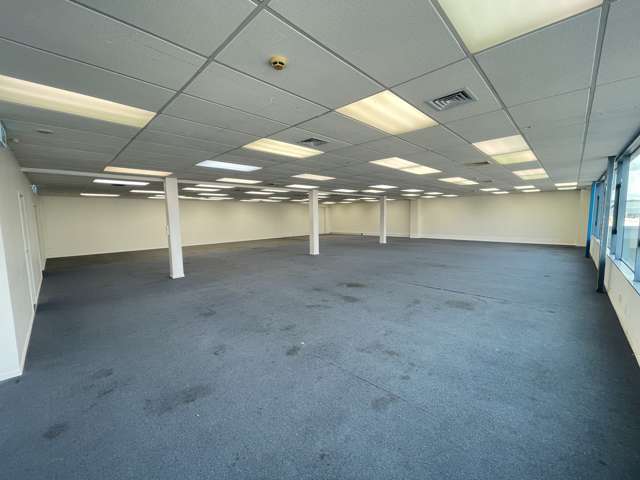 17 Nandina Avenue East Tamaki_1