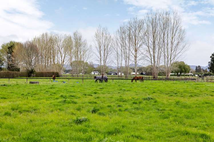 54A Hartstone Road Te Kowhai_28