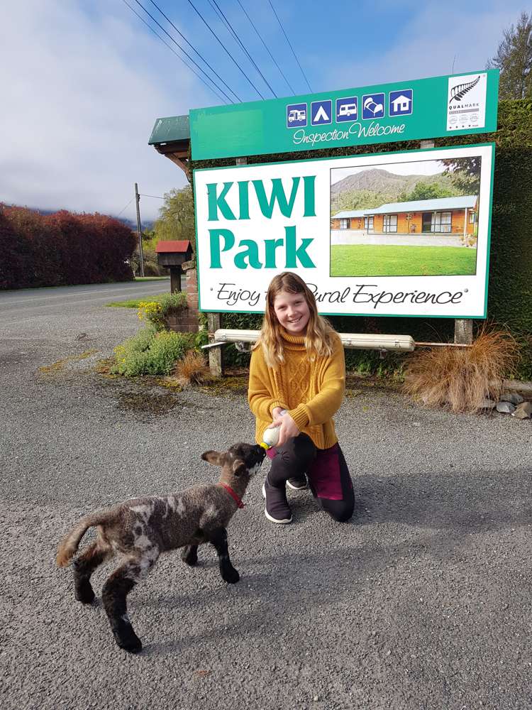 170 Fairfax Street Murchison_21