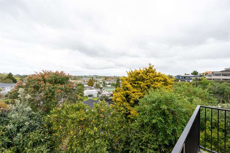 15b Ridout Street Maeroa_16