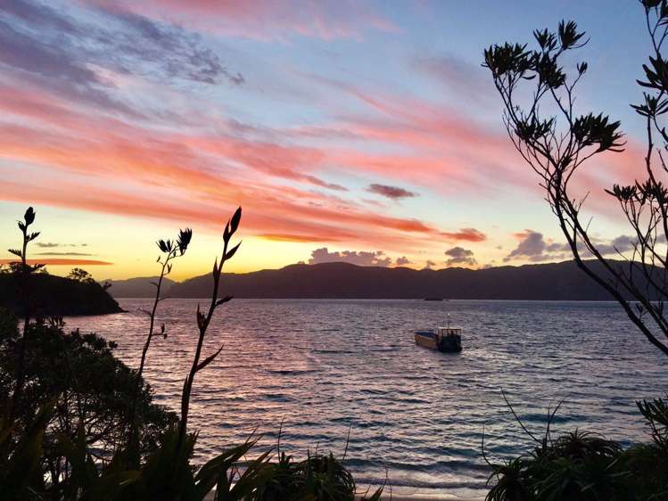 190 Pacific Ocean, Slipper Island (Whakahua) Thames_50