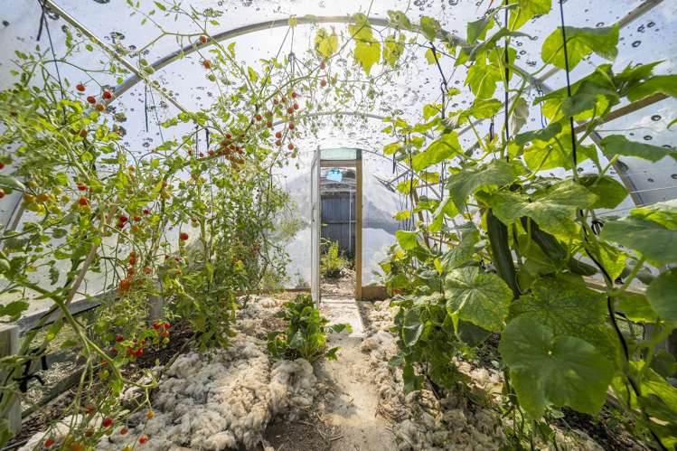 14 Pompolona Street Te Anau_24