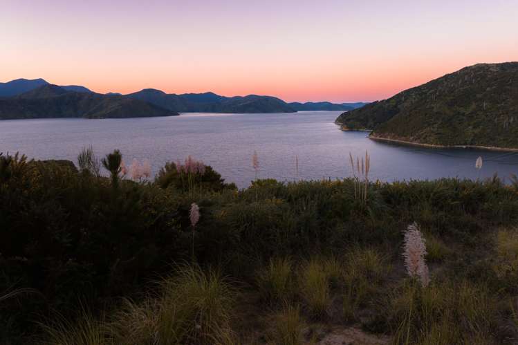 318 Port Underwood Road Waikawa_27