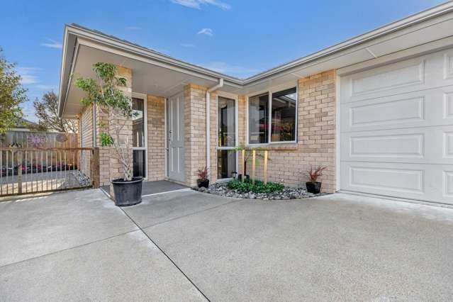 261a Maungatapu Road Maungatapu_1