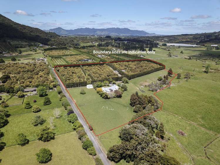 39 Watrous Downs Maungatapere_31