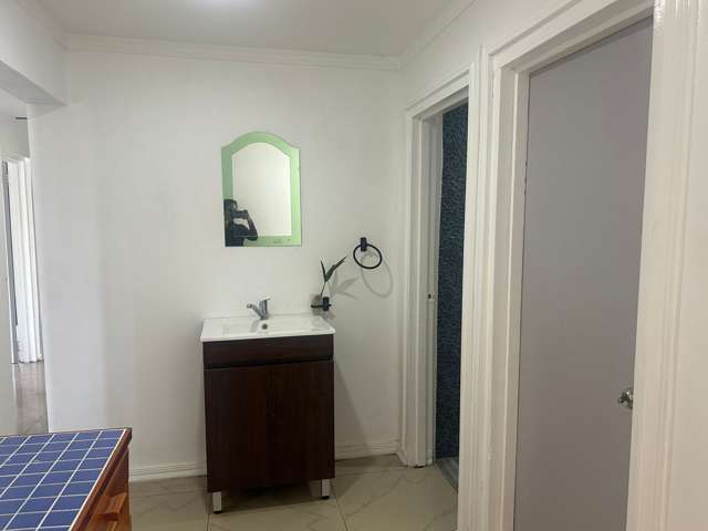 Lot 3 Olosara Sigatoka_2