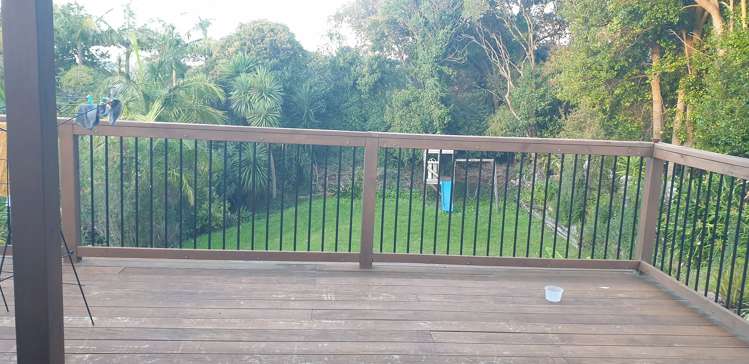 17 Lanigan Street Birkdale_1