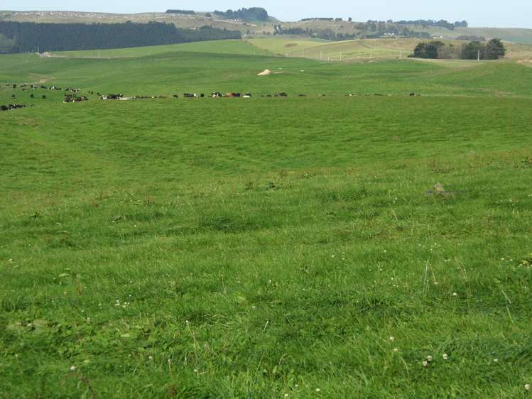 277 Cowans Road Enfield and Surrounds_8