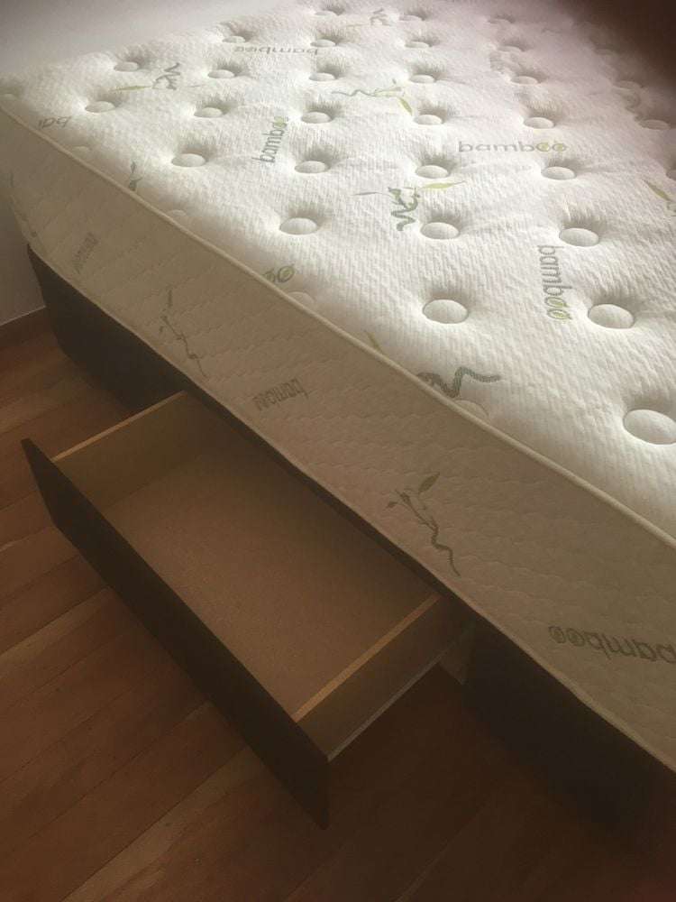 18A Freyberg Street Roslyn_14