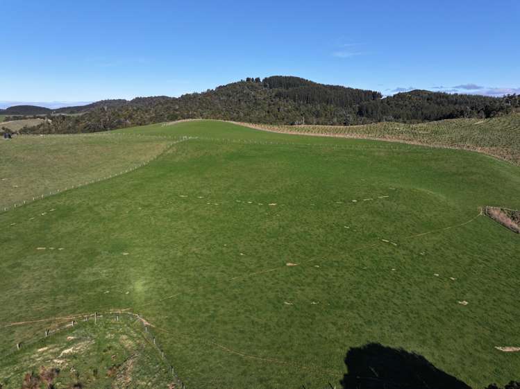 725 Grove Burn Road Tuatapere_2