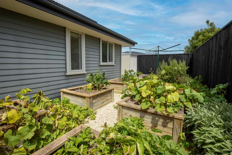 10d Kipling Avenue Rolleston_26