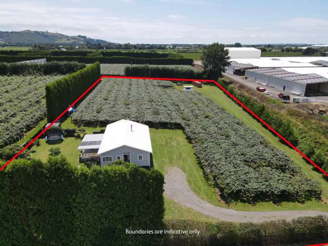 66 Te Puke Quarry Road Te Puke_1