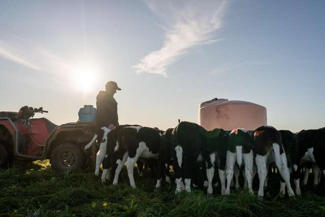 Here comes the boom: What will Kiwi farmers spend their $3.2 billion windfall on?