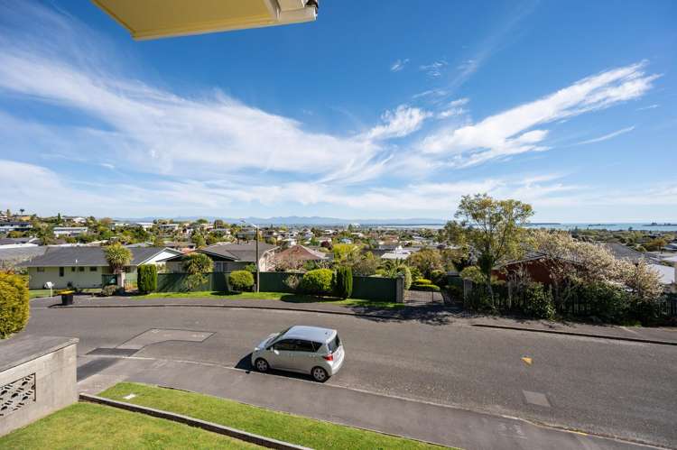 43 Marlborough Crescent Richmond_13
