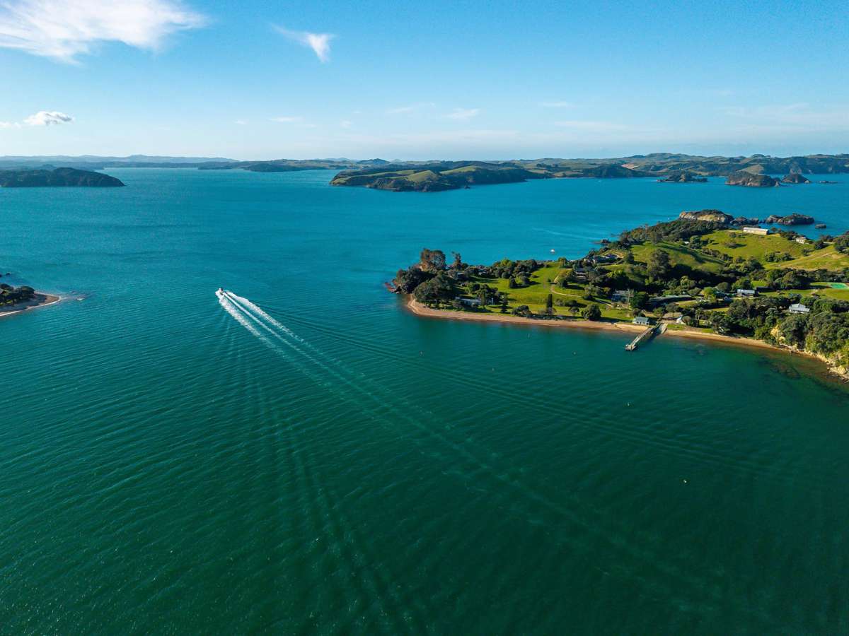 Share 18 Moturoa Island_4