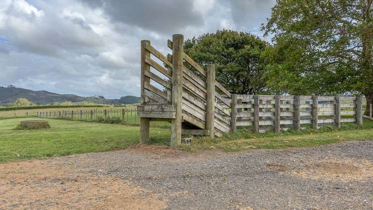 908 Waerenga Road Waerenga_14