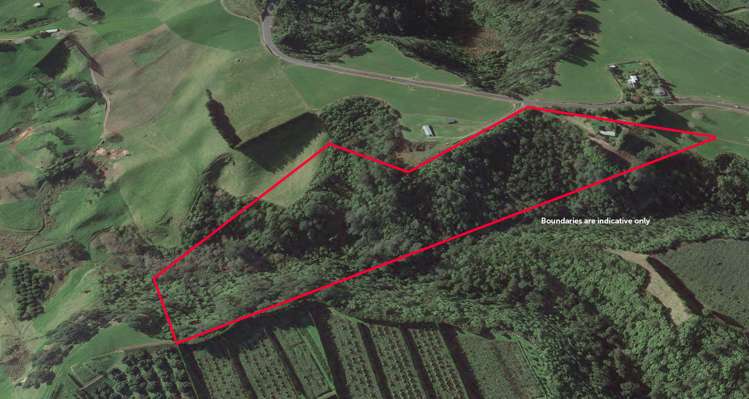 356 Omanawa Road Kaimai_27