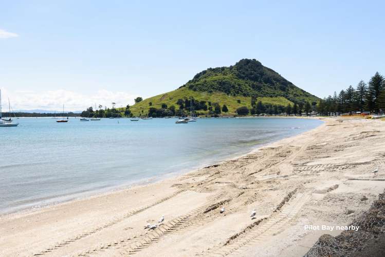 27/12 Maunganui Road Mt Maunganui_23